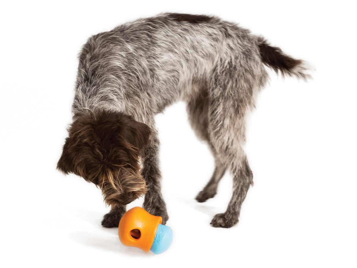 WEST PAW TOPPL ZOGO FLEX TOY ORANGE LARGE-Four Muddy Paws