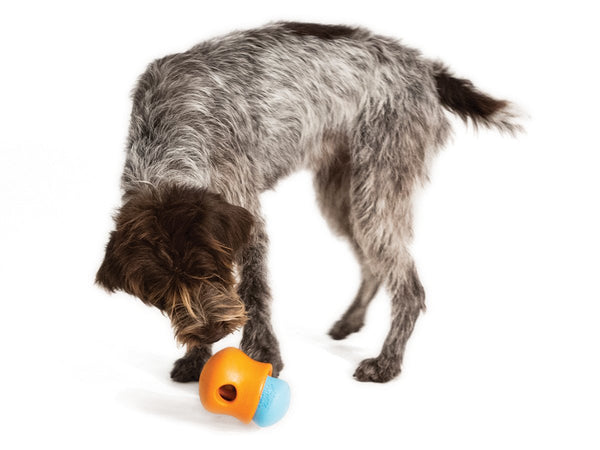 Top Paw Dog Toys