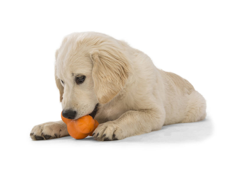 WEST PAW TUX ORANGE SMALL-Four Muddy Paws