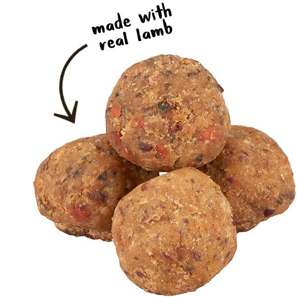 Wagmore Dog Grain Free Lamb Meatballs 14oz-Four Muddy Paws