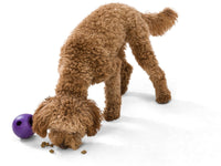 West Paw Rumbl Purple Small-Four Muddy Paws