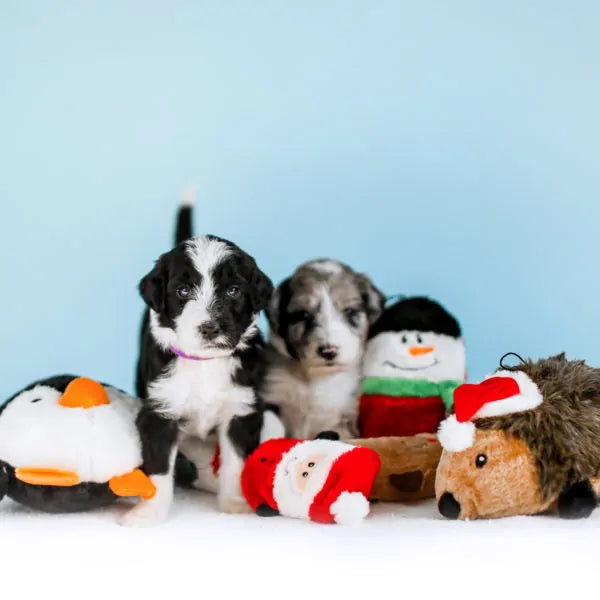 Zippy Paws Holiday Squeakie Buddies Santa, Reindeer, Snowman Toys-Four Muddy Paws