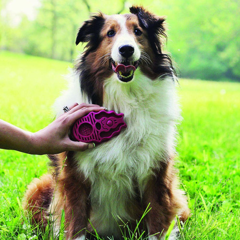 Zoomgroom BOSENBERRY-Four Muddy Paws